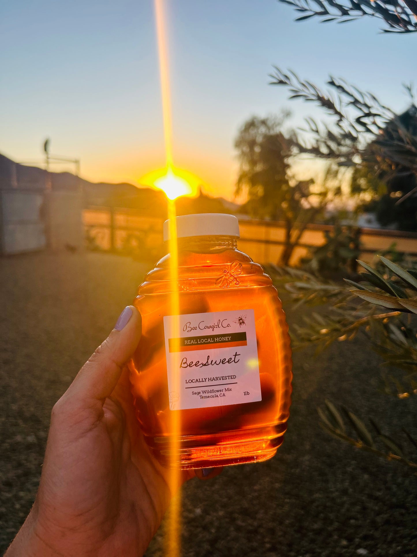 Bee Sweet - Locally Hartvested Honey