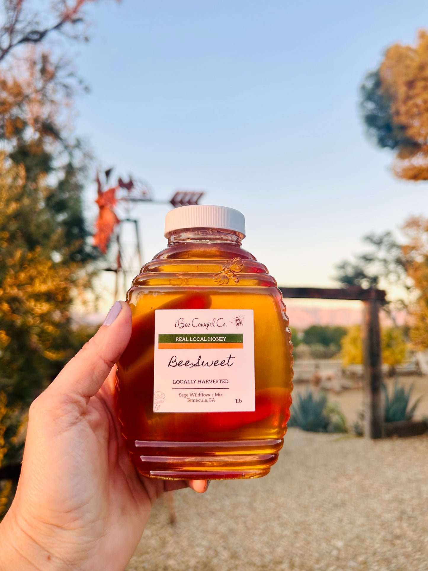 Bee Sweet - Locally Hartvested Honey